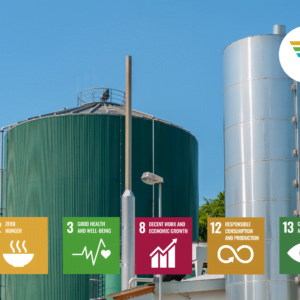 Biogas Generation India - SDGs