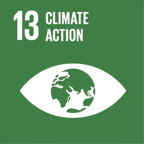 sustainable development goal 13 climate action icon