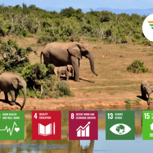 Rainforest & Wetlands Protection, Mai Ndombe SDGs