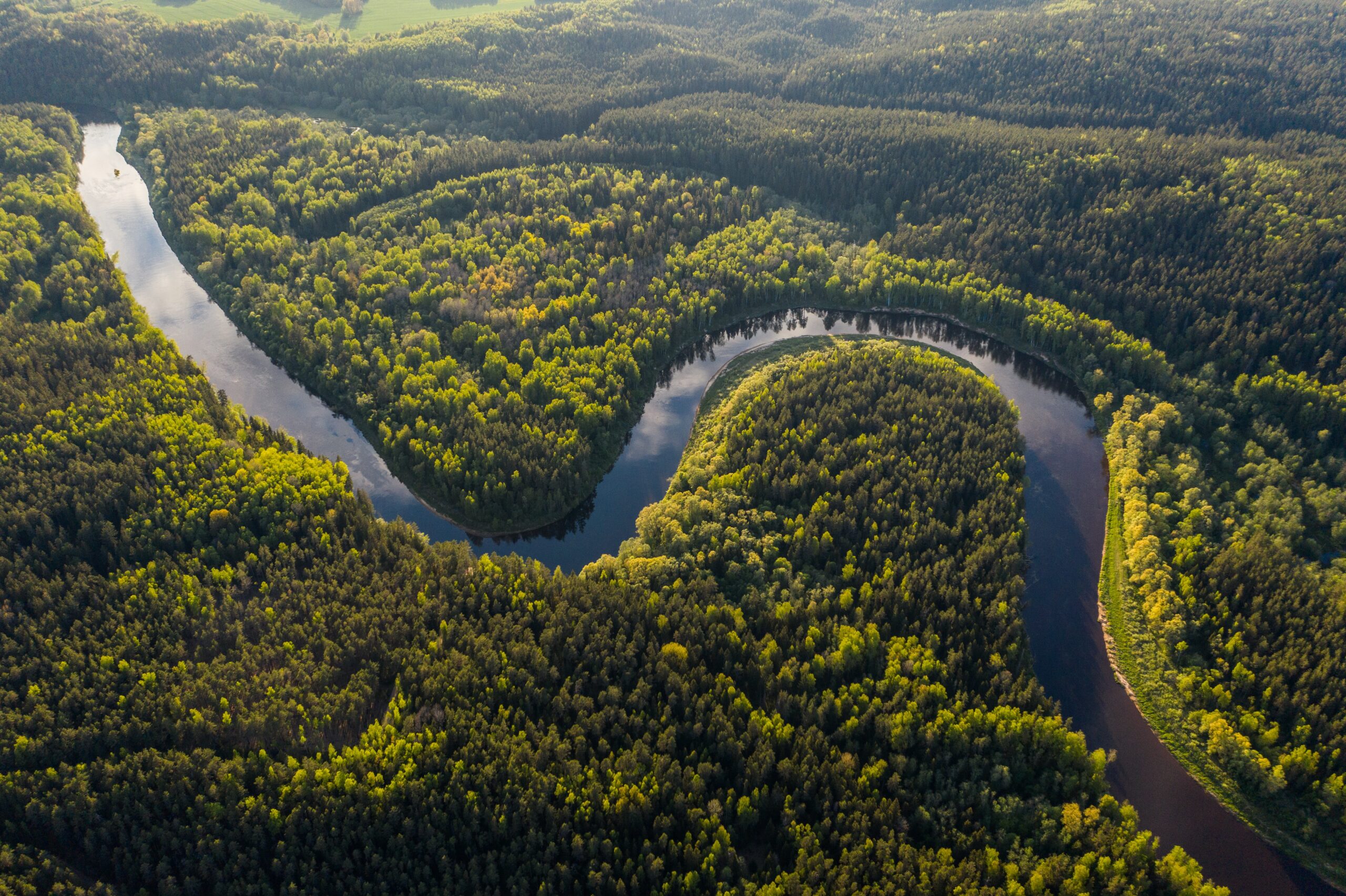 overhead view of a winding river surrounded by trees